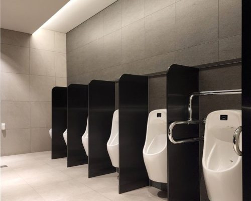 office-toilet-2.jpg